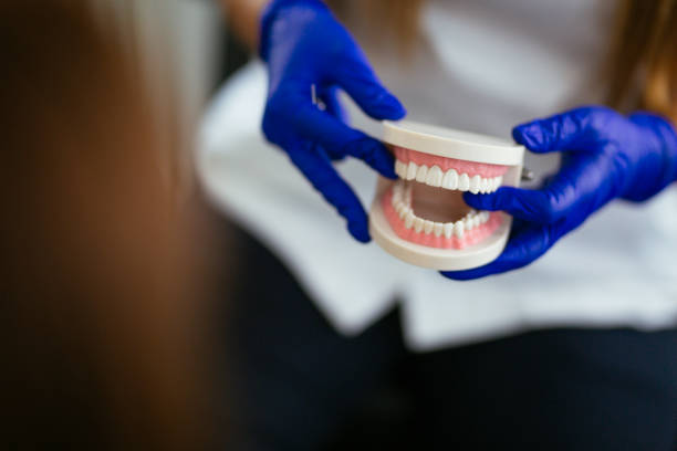 Reliable Versailles, IN Holistic Dental Care Services Solutions